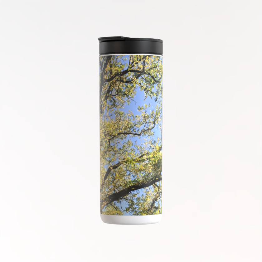 Large Thermos Flask