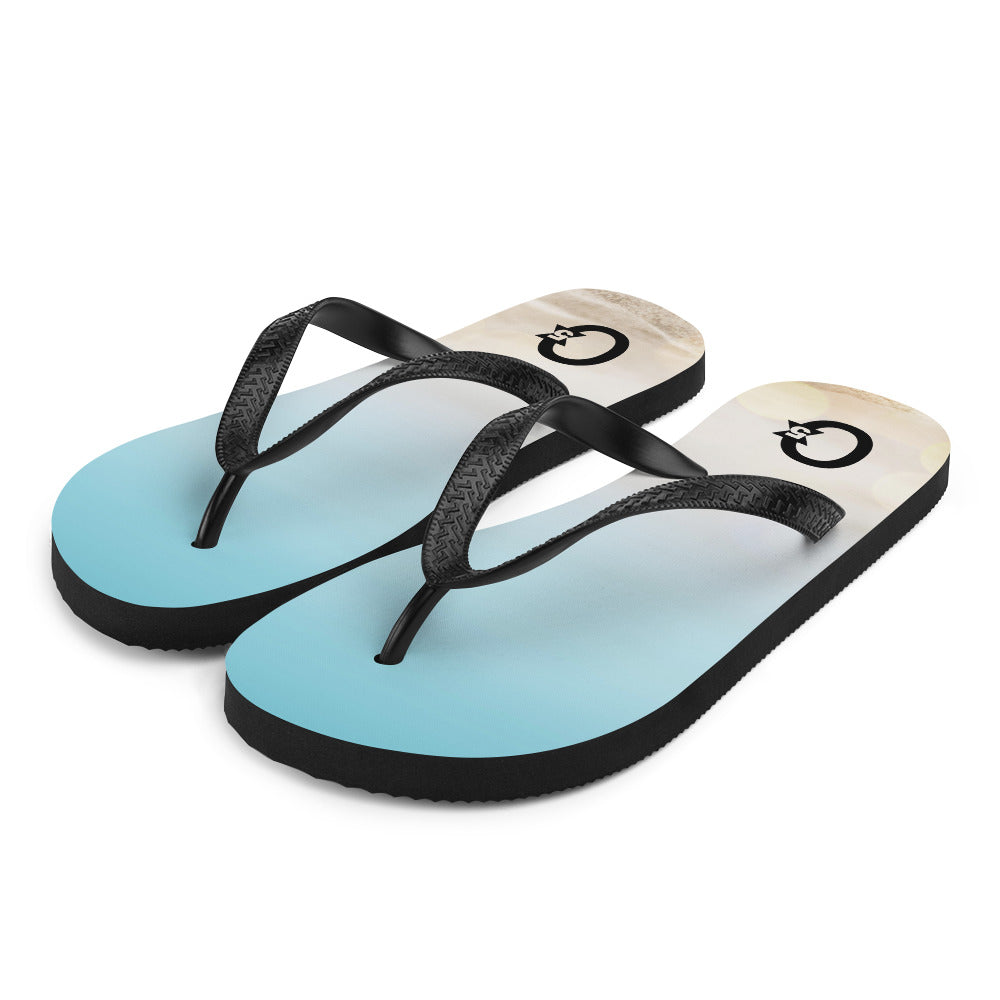 Flip-Flops